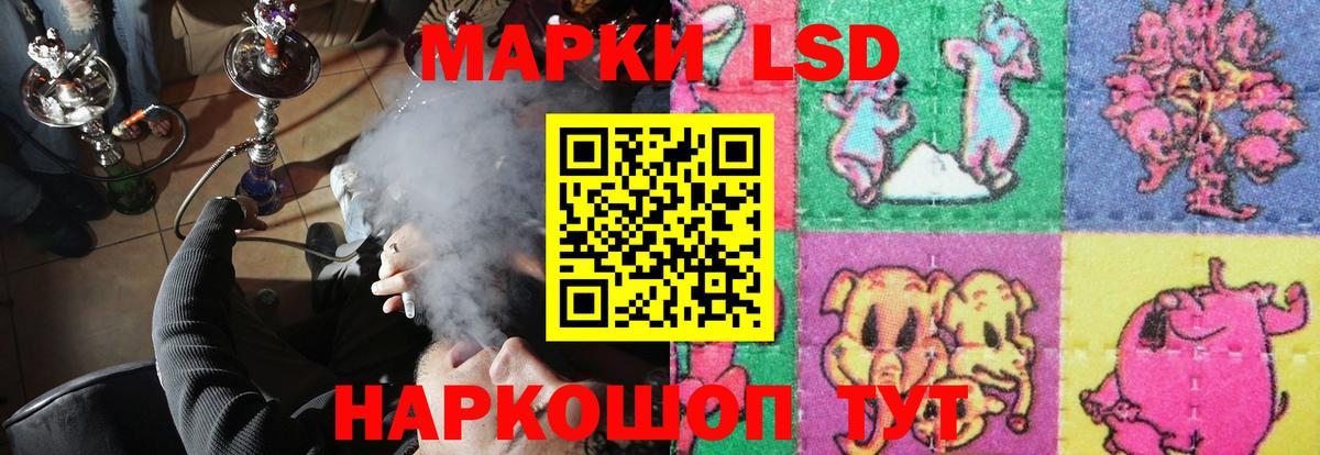 ЛСД экстази ecstasy  Вход с VPN  Нижнекамск 