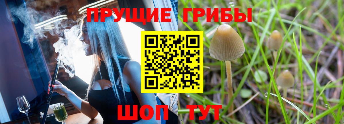 Псилоцибиновые грибы прущие грибы  Псилоцибиновые грибы Psilocybe  Вход с VPN  Нижнекамск 